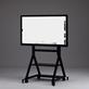 Interactive whiteboard D5530